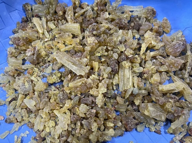 Gum Olibanum product photo - main preview